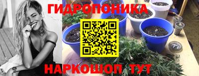 spice Обнинск