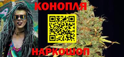 spice Обнинск