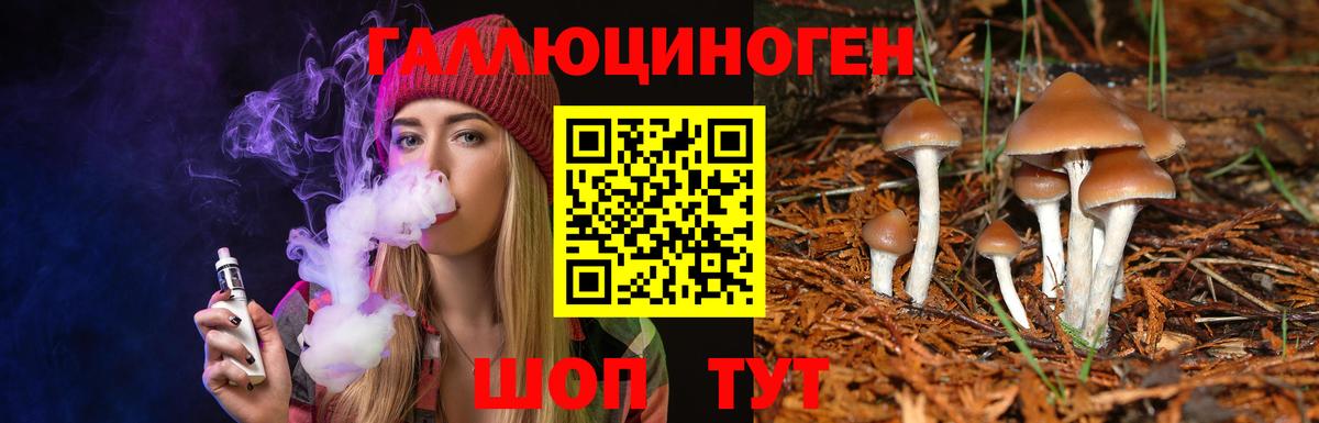 Строитель  Псилоцибиновые грибы мицелий  Вход с VPN 