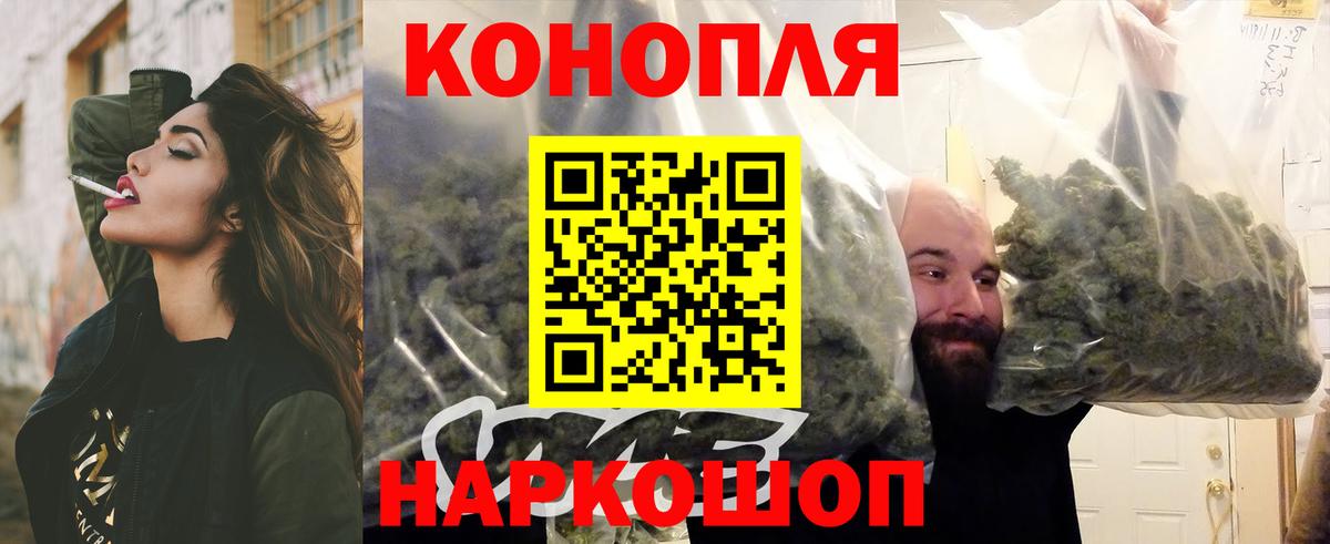 Бошки Шишки ГИДРОПОН  Конопля сатива  Бошки марихуана семена  Строитель  Вход с VPN 
